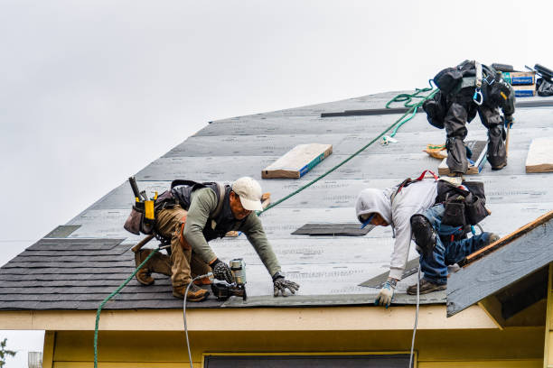 Professional Storm Damage Roof Repair technician working in Lake Mills, IA